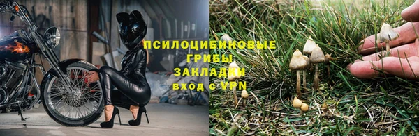 гидра Абдулино