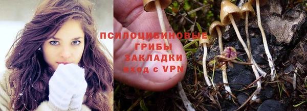 гидра Абдулино