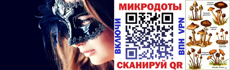 Галлюциногенные грибы Psilocybe Абинск